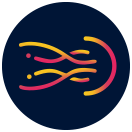 The package icon